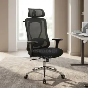 Ergonomic Office Chair with Adjustable Knob