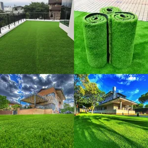 Artificial Grass Carpet for Interiors