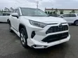 Toyota RAV4 Adventure 2019 - 1