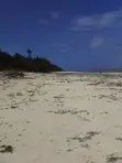 Beachfront Land for Sale - Central Diani - 1