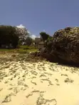 Beachfront Land for Sale - Central Diani - 4