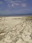 Beachfront Land for Sale - Central Diani - 5