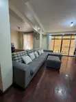 Used Gray Fabric Sofaset - 3