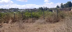 Plots for Sale in Kikuyu Kamangu (Ndiguini)