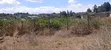 Plots for Sale in Kikuyu Kamangu (Ndiguini) - 1