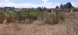 Plots for Sale in Kikuyu Kamangu (Ndiguini) - 3
