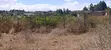 Plots for Sale in Kikuyu Kamangu (Ndiguini) - 4