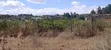 Plots for Sale in Kikuyu Kamangu (Ndiguini) - 5