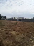 Plot for Sale in Kitengela (Next to Rocksand Homes) - 3