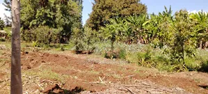 1/8 Acre Plot for Sale in Nyangati, Kirinyaga