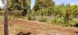 1/8 Acre Plot for Sale in Nyangati, Kirinyaga - 1