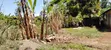 1/8 Acre Plot for Sale in Nyangati, Kirinyaga - 3