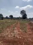 Viwanja vya Eka Moja na Nusu Ngong - Kerarapon - 5