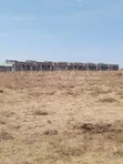 Plots for Sale in Kitengela - 1