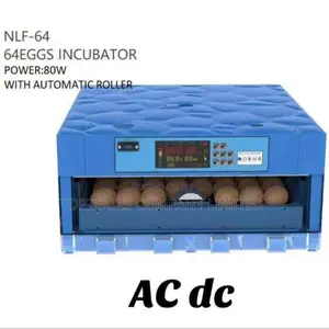 AC/DC 64-Egg Incubator with Automatic Roller (80W)