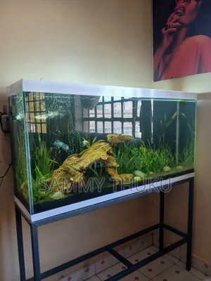 Aquarium with Stand - 226L