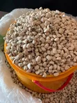 Nigerian Iron Beans (White Beans) - 1