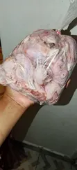 Chicken Heads & Feet per Kg - 1