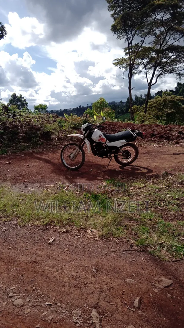 Yamaha DT125 2004 White - 1