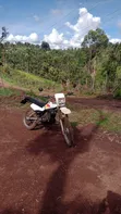 Yamaha DT125 2004 White - 2