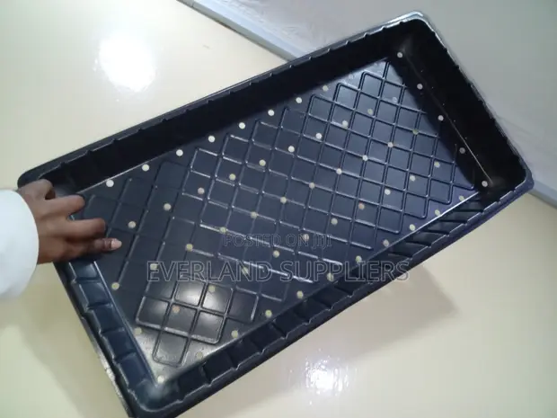Perforated Seed Trays for Moisture Control - 1