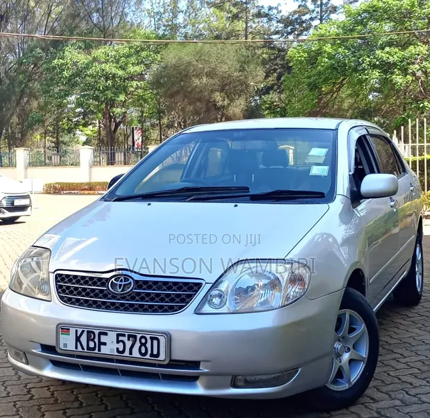 Toyota Corolla RunX 2004 Silver - 1