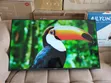 Vitron 43 Inch Smart Android Frameless TV - 1