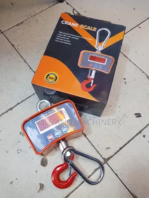 Crane Weighing Scale - 500kg Capacity