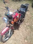 TVS HLX Plus ES 2024 Nyekundu - 1