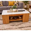 Modern Executive Julz Coffee Marble Laminated Coffee Table - 1