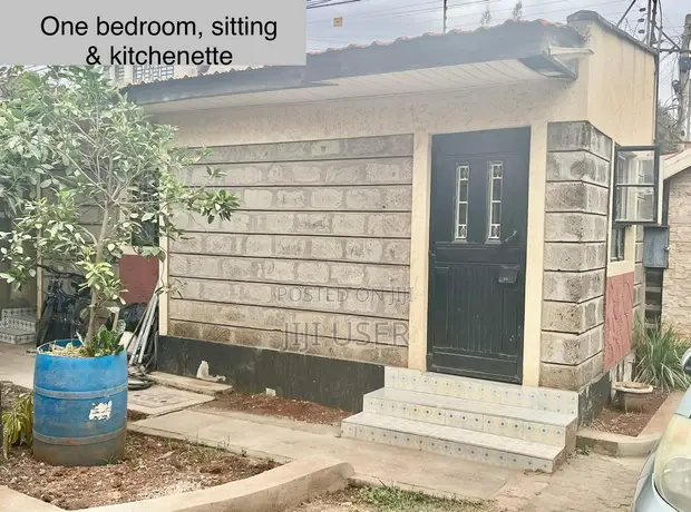 Chumba kimoja cha kulala (Bedsitter) kinapangishwa Membley, Ruiru - 1