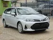 Toyota Corolla Fielder 2019 Silver - 1