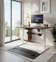 Electric Standing Desk | 1200mm | Ergonomic Adjustable - 2