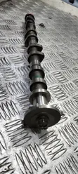 Nissan NV350 YD25 Camshaft ya Kutolea Moshi - 1