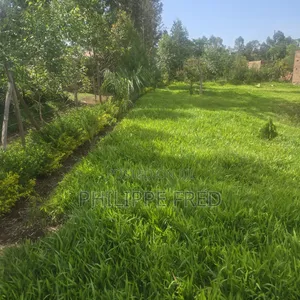 Half Acre Land for Sale in Murram, Homa Bay