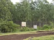 5 Acres Eucalyptus Trees for Sale in Homabay - 3