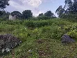Two 0.03ha Plots for Sale in Kisumu Riat - 5