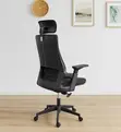 Aurora High Back Mesh Orthopedic Swivel Chair - 1