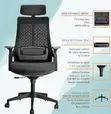 Aurora High Back Mesh Orthopedic Swivel Chair - 2