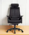 Aurora High Back Mesh Orthopedic Swivel Chair - 3
