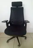 Aurora High Back Mesh Orthopedic Swivel Chair - 5