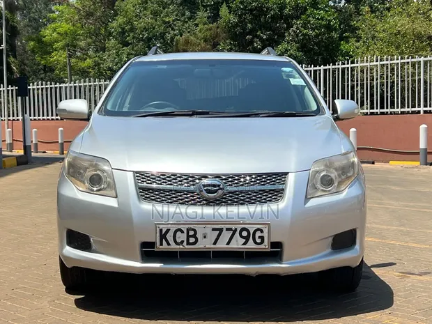 Toyota Corolla Fielder 2008 Silver - 1