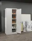 Universal Full Door Metallic Organizer Cabinet - 4