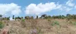 10 Acres Farmland in Malili, Near Kwa DC, Connected to Kamaku Dam - 1