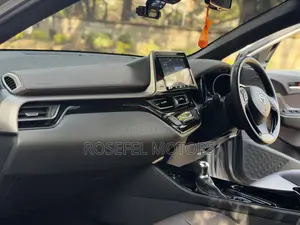 Toyota C-HR 2019 Gray