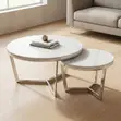 Round Marble Nesting Coffee Table Set - 5