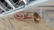 Ariston Copper Electric Water Heater Heating Element - 4