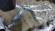Airbag ya paa ya Toyota Land Cruiser Prado 150 - 2