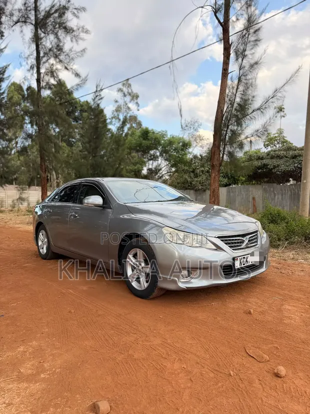 Toyota Mark X 2011 Silver - 1