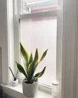Fluted Glass Effect Film for Home Windows - 1